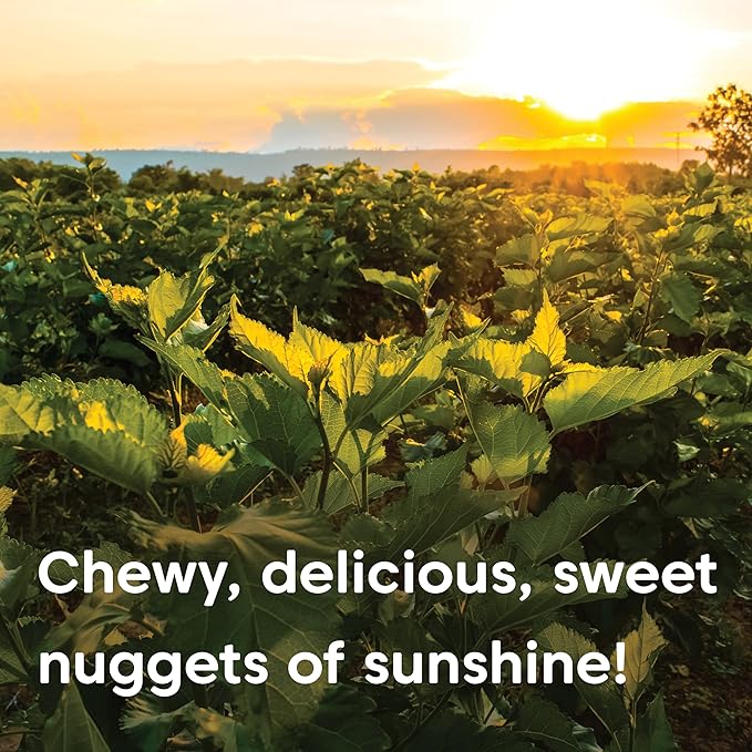 Wilderness Poets White Mulberries - Organic &amp Raw (320 Ounce - 20 Pound)