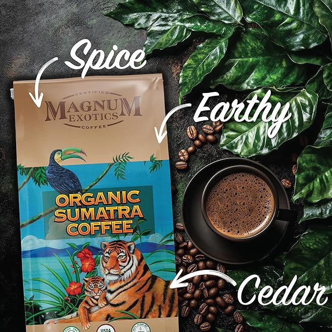 Magnum Exotics Organic Sumatra Gayo Mountain Whole Bean Coffee - Dark Roast Coffee Beans Caffeinated Roasted Bulk Brew Rich &amp Smooth Flavor Fresh Roast - 32 oz (2 lb) Bag