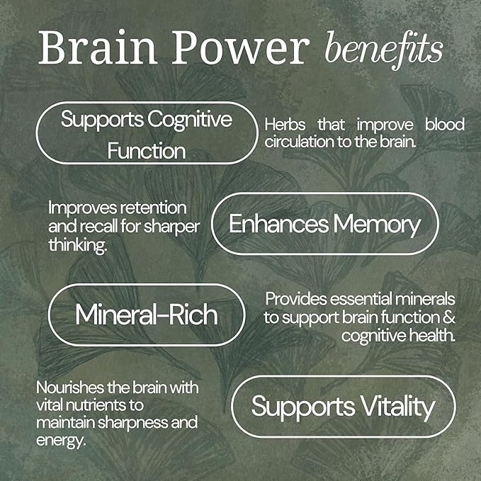 Brain Power Herbal Tea by Mindful Moon – Focus &amp Memory Support Blend with Ginkgo Nettle &amp Rosemary – Caffeine-Free Loose Leaf (Large)