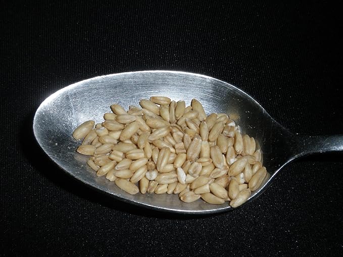Whole Oats 5 Pounds Hulled Groats USDA Certified Organic Non-GMO Bulk Mulberry Lane Farms