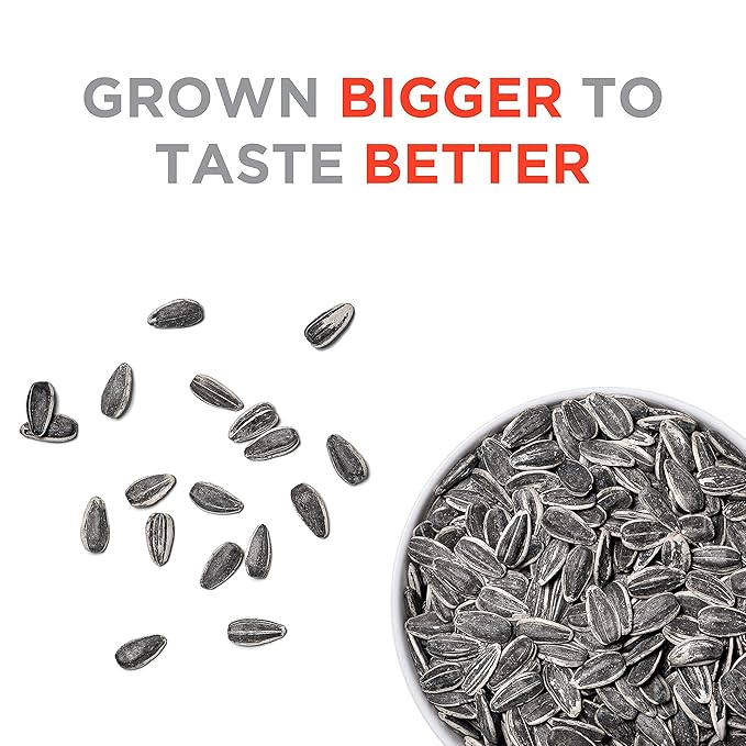 JUMBO SUNFLOWER SEEDS Original 16-Ounce (Pack of 6)
