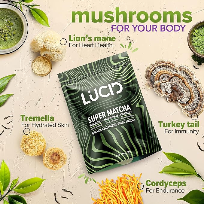 Lucid Superfood Organic Mushroom Matcha with Nootropics - Lion's Mane Tremella Cordyceps &amp Turkey Tail - Instant Mushroom Matcha Focus Brain Health - Alpha GPC L-Theanine Ginko Biloba - USA Ma