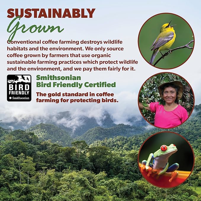 Low Acid Organic Coffee – Whole Bean Mold-Free &amp Stomach Friendly by Java Planet Colombian Single Origin Medium Dark Roast Smooth Full Flavored 5LB Bag