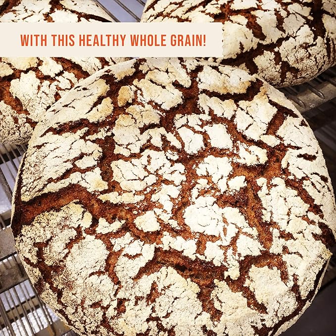 100% Organic Whole Dark Rye Flour - 25 lbs…