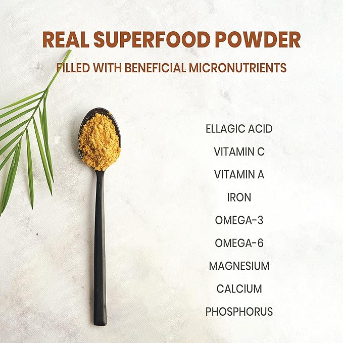 Jungle Powders Freeze Dried Organic Wild Blueberries 4oz &amp Cloudberry Powder 3.5oz – No Sugar Added Pure Fruit Powder for Smoothies Baking Jam Flavoring &amp Natural Antioxidant Boost