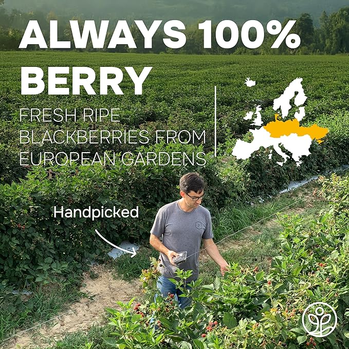 Jungle Powders Organic Blackberry Powder 5 Ounce Bag USDA Certified Freeze Dried Blackberries Powder for Baking Whole Blackberry Juice Additive Free Blackberry Extract Flavoring Puree Concentrate