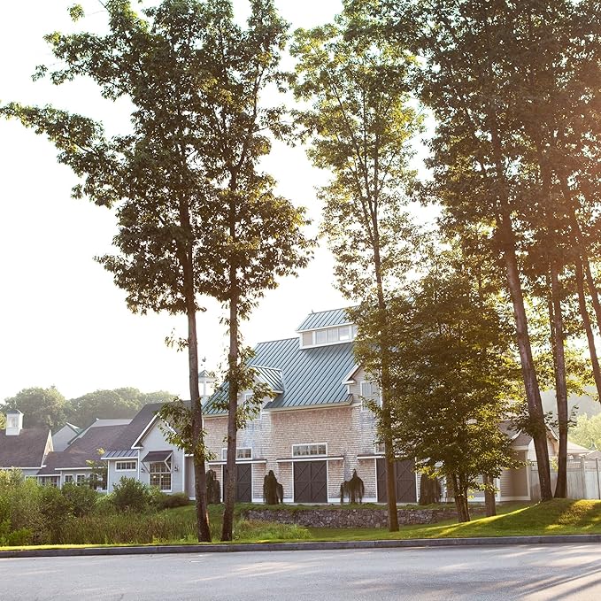 Vermont Coffee Company Half Caff Ground Coffee 12oz
