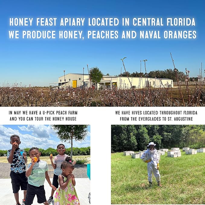 HONEY FEAST Bulk Allergy Blend Honey 6 Pounds (Pack of 4) - Vast American Honey Florida Crafted Raw &amp Unfiltered High Pollen Content Directly from Central Florida Beekeepers