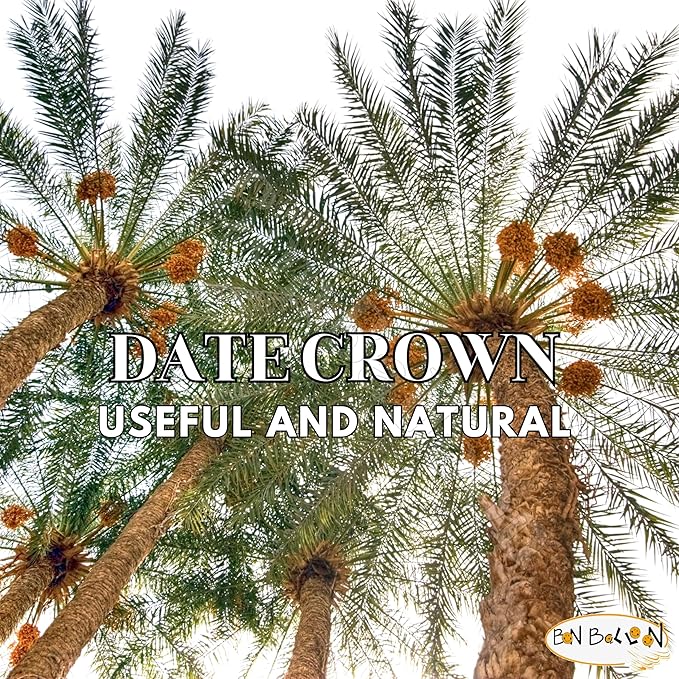 Al Tahhan Dates Egyptian Premium Semi Dry Unpressed Palm Brilliant Palms Natural Delicious Sweet Taste Tamar Fresh Tamr Egypt Arab Ramadan Kosher Gmo Free Halal (1 Pack = 24.70 oz / 700 gm) تمر مصرى