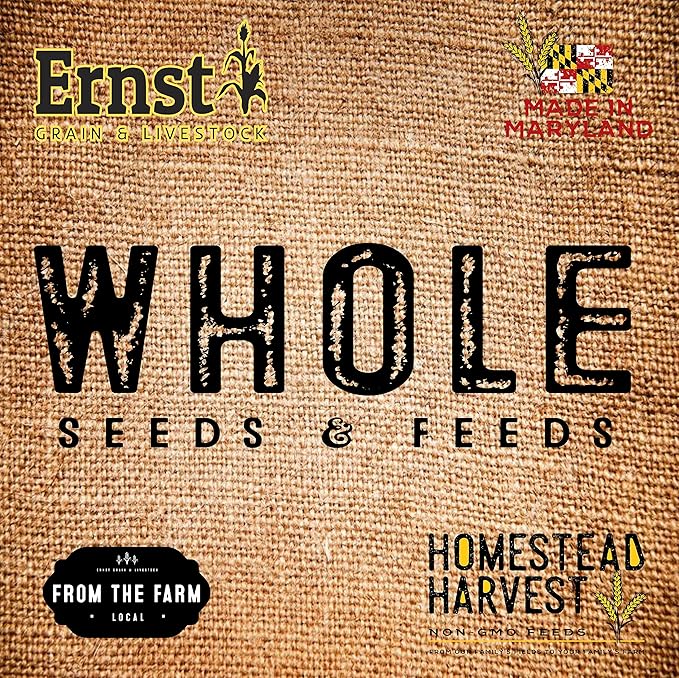 Ernst Grain's Oats Feed Grade 46 lb