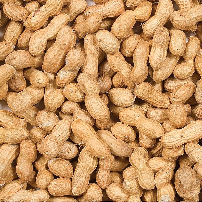 Wild Delight Inshell Peanuts 5 lb (Pack of 4)