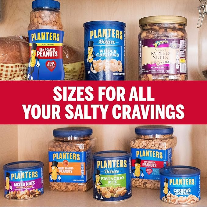 PLANTERS Peanuts Dry Roasted Peanuts Lightly Salted Snack Mix Snacks for Adults - 16 oz. Jars Pack of 12 PLANTERS Nuts