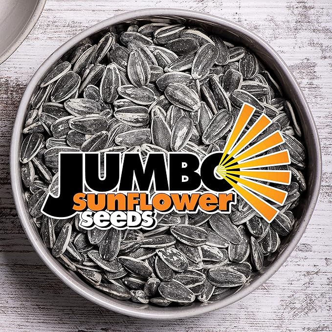 JUMBO SUNFLOWER SEEDS Ranch 16-Ounce (Pack of 6)